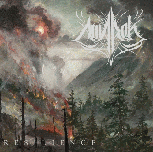 Amarok (USA) : Resilience